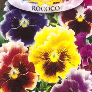 Nasiona Bartek 0,4 g Rococo mix kolorów Roltico nasiona kwiatów Nasiona Bartek 0,4 g Rococo mix kolorów Roltico nasiona kwiatów