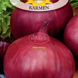 Nasiona Cebula czerwona Karmen 2 g Roltico cebula z nasion Nasiona Cebula czerwona Karmen 2 g Roltico cebula z nasion