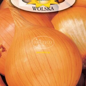 Nasiona Cebula żółta Wolska 5 g Roltico cebula z nasion Nasiona Cebula żółta Wolska 5 g Roltico cebula z nasion