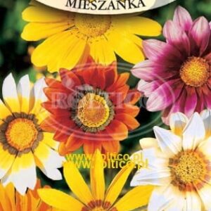 Nasiona Gazania mix kolorów 0,5 g Roltico nasiona kwiatów Nasiona Gazania mix kolorów 0,5 g Roltico nasiona kwiatów