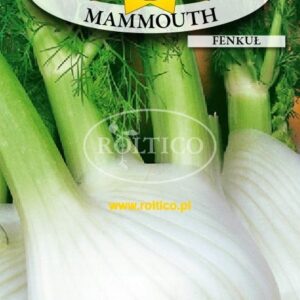 Nasiona Koper włoski Fenkuł Mammouth 1 g Roltico Nasiona Koper włoski Fenkuł Mammouth 1 g Roltico