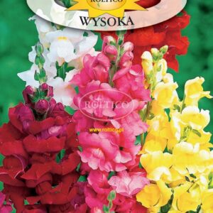 Nasiona Lwia Paszcza wysoka mix kolorów 0,5 g Roltico Nasiona Lwia Paszcza wysoka mix kolorów 0,5 g Roltico