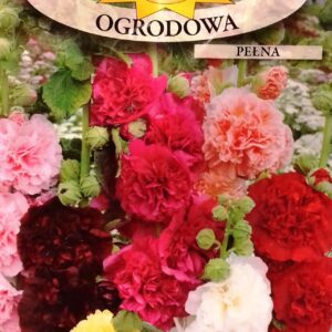 Nasiona Malwa 1 g Prawoślaz mix kolorów Roltico nasiona kwiatów Nasiona Malwa 1 g Prawoślaz mix kolorów Roltico nasiona kwiatów