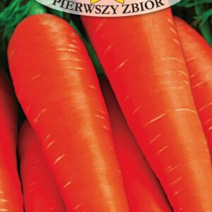 Nasiona Marchew wczesna Pierwszy Zbiór 5 g Roltico Nasiona Marchew wczesna Pierwszy Zbiór 5 g Roltico