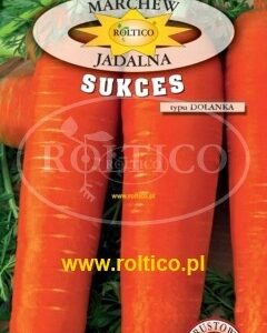 Nasiona Marchew Sukces 5 g Roltico nasiona warzyw Nasiona Marchew Sukces 5 g Roltico nasiona warzyw