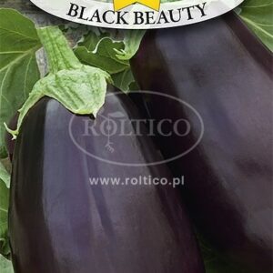 Nasiona Oberżyna Black Beauty 1 g Roltico Bakłażan Nasiona Oberżyna Black Beauty 1 g Roltico Bakłażan