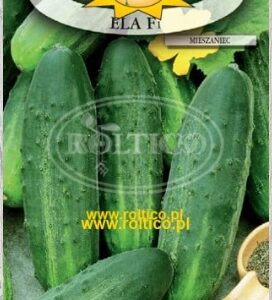 Nasiona Ogórek gruntowy Ela F1 5 g Roltico konserwowy Nasiona Ogórek gruntowy Ela F1 5 g Roltico konserwowy