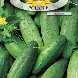 Nasiona Ogórek gruntowy Polan F1 5 g Roltico Nasiona Ogórek gruntowy Polan F1 5 g Roltico