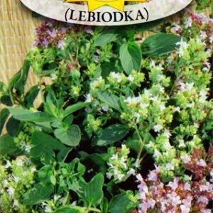 Oregano, Lebiodka Pospolita 0,2 g nasiona ziół Oregano, Lebiodka Pospolita 0,2 g nasiona ziół