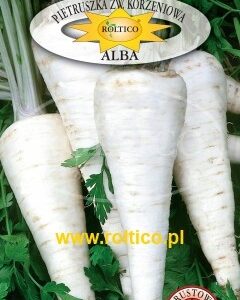 Nasiona Pietruszka korzenna Alba 3 g Roltico nasiona warzyw Nasiona Pietruszka korzenna Alba 3 g Roltico nasiona warzyw