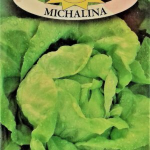 Nasiona Sałata masłowa Michalina 1 g Roltico Nasiona Sałata masłowa Michalina 1 g Roltico