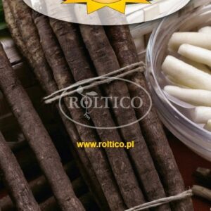 Skorzonera Duplex 3 g nasiona Roltico Skorzonera Duplex 3 g nasiona Roltico