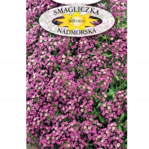 Nasiona Smagliczka nadmorska różowa 0,5 g Roltico Nasiona Smagliczka nadmorska różowa 0,5 g Roltico