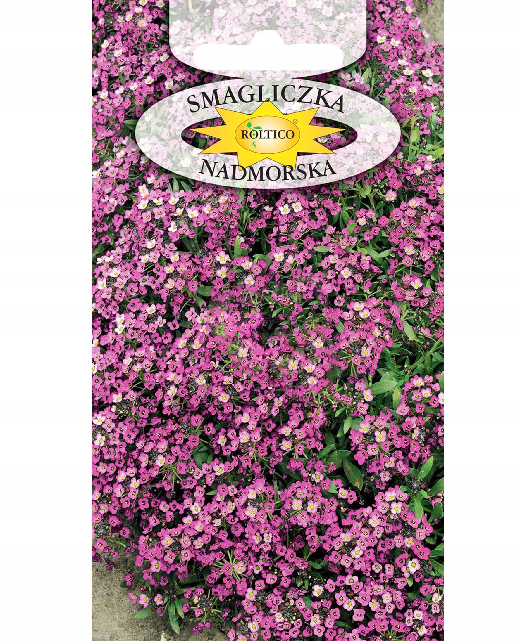 Nasiona Smagliczka nadmorska różowa 0,5 g Roltico Nasiona Smagliczka nadmorska różowa 0,5 g Roltico
