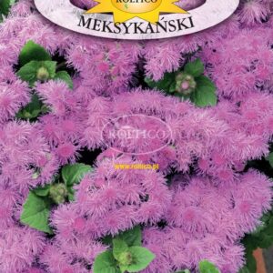 Nasiona Żeniszek meksykański różowy 0,3 g Roltico Nasiona Żeniszek meksykański różowy 0,3 g Roltico
