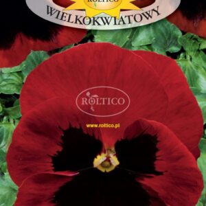 Nasiona Bratek czerwony z czarną plamą 0,5 g Roltico Nasiona Bratek czerwony z czarną plamą 0,5 g Roltico