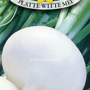 Nasiona Rzepa jadalna Platte Witte Mei 5 g Roltico Nasiona Rzepa jadalna Platte Witte Mei 5 g Roltico