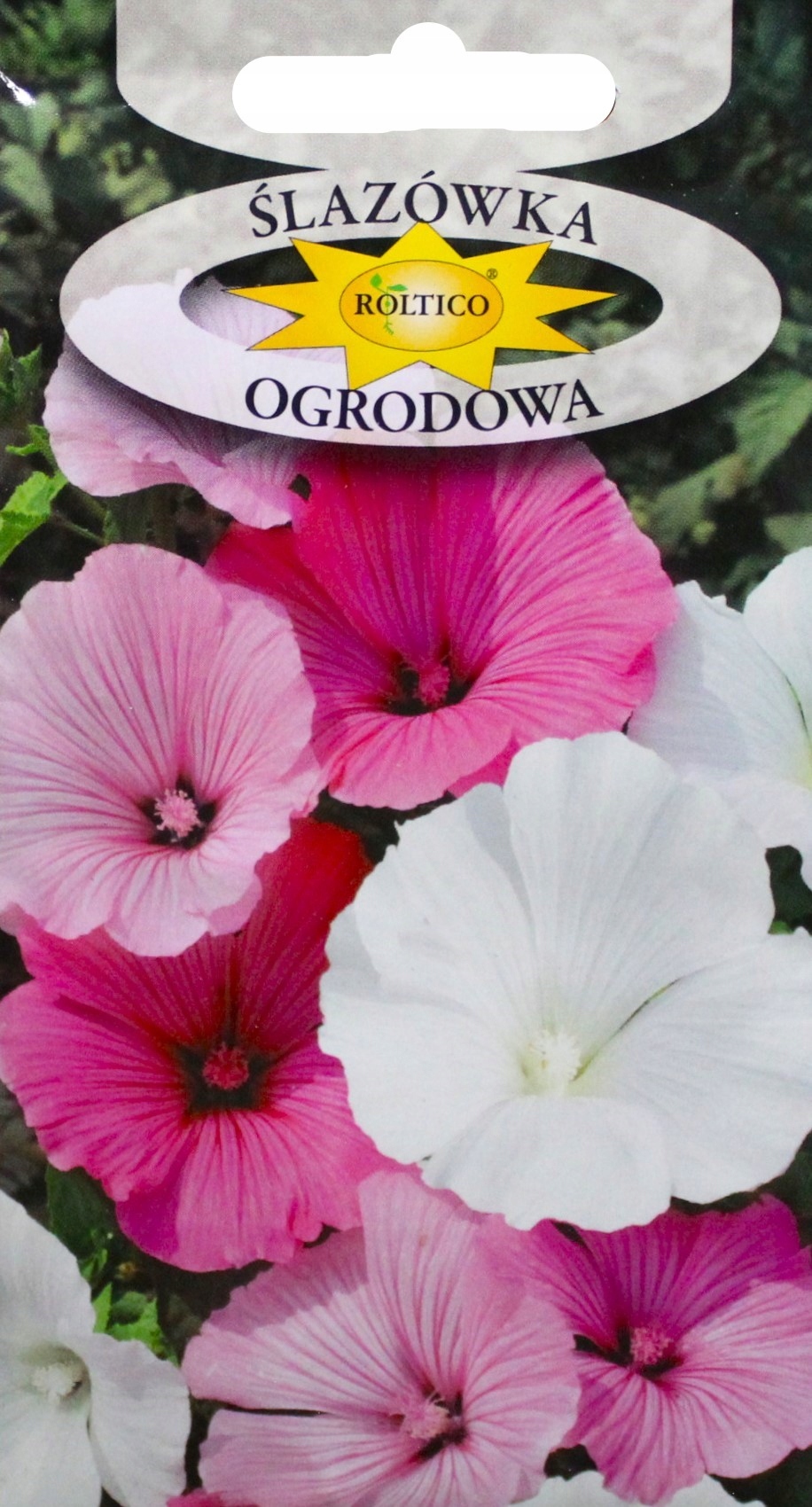 Nasiona Ślazówka ogrodowa letnia 1 g Roltico nasiona kwiatów Nasiona Ślazówka ogrodowa letnia 1 g Roltico nasiona kwiatów