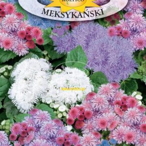 Nasiona Żeniszek meksykański mix kolorów 0,3 g Roltico nasiona kwiatów Nasiona Żeniszek meksykański mix kolorów 0,3 g Roltico nasiona kwiatów