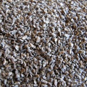 NASIONA Marchew pastewna Krystyna 200 g C1 czerwona NASIONA Marchew pastewna Krystyna 200 g C1 czerwona