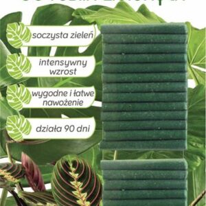 Pałeczki do roślin zielonych 30 szt Sumin zamiokulkas, monstera, palma juka Pałeczki do roślin zielonych 30 szt Sumin zamiokulkas, monstera, palma juka