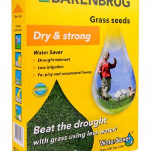 Trawa Water save dry and strong 1 kg odporna na suszę Barenbrug Trawa Water save dry and strong 1 kg odporna na suszę Barenbrug