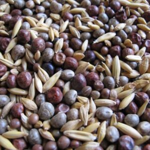 Mieszanka poplonowa MP-4 1 kg Granum ogólnoużytkowa