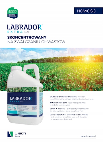 Lablador Extra 50 EC 5 l. zwalcza perz, chwasty jednoliścienne Lablador Extra 50 EC 5 l. zwalcza perz, chwasty jednoliścienne