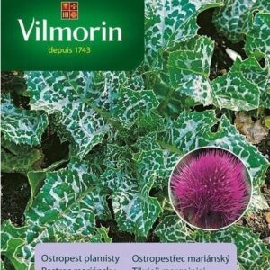 Nasiona Ostropest plamisty 2 g Vilmorin Nasiona Ostropest plamisty 2 g Vilmorin