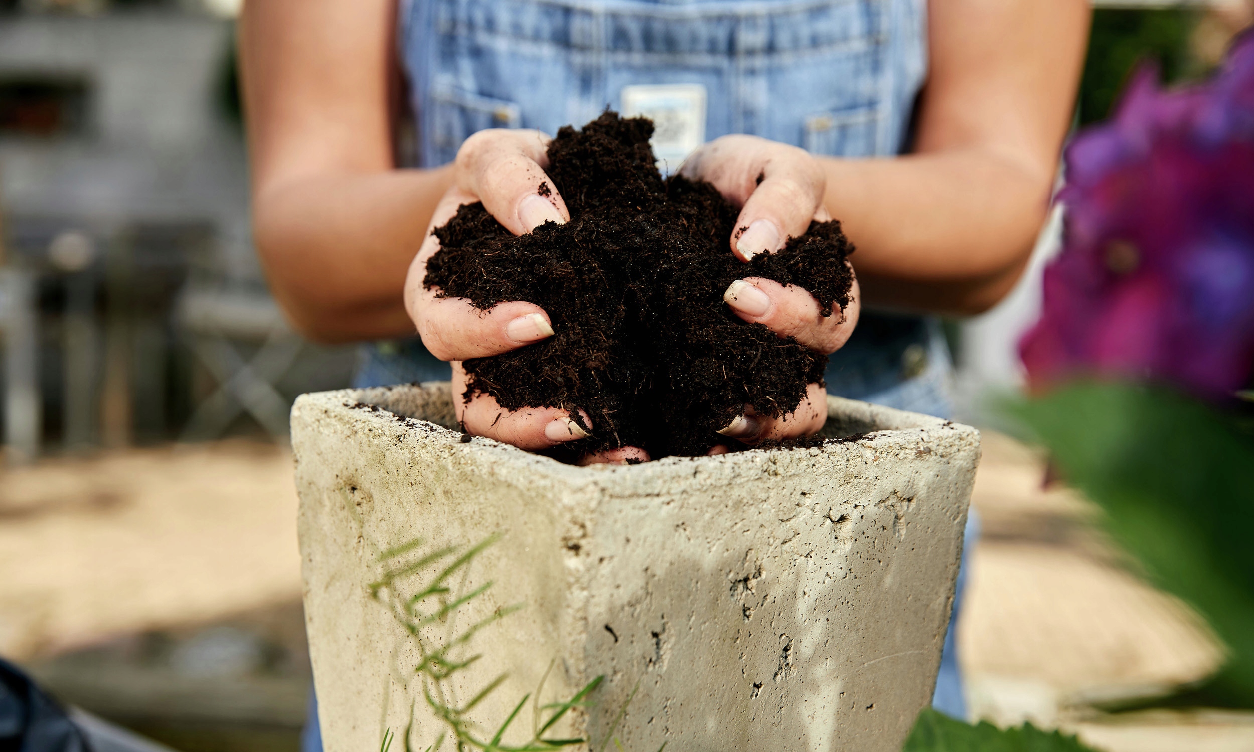 Ziemia do r. Śródziemnomorskich 20l. Compo podłoże do Oleandrów, Hibiskusa Ziemia do r. Śródziemnomorskich 20l. Compo podłoże do Oleandrów, Hibiskusa