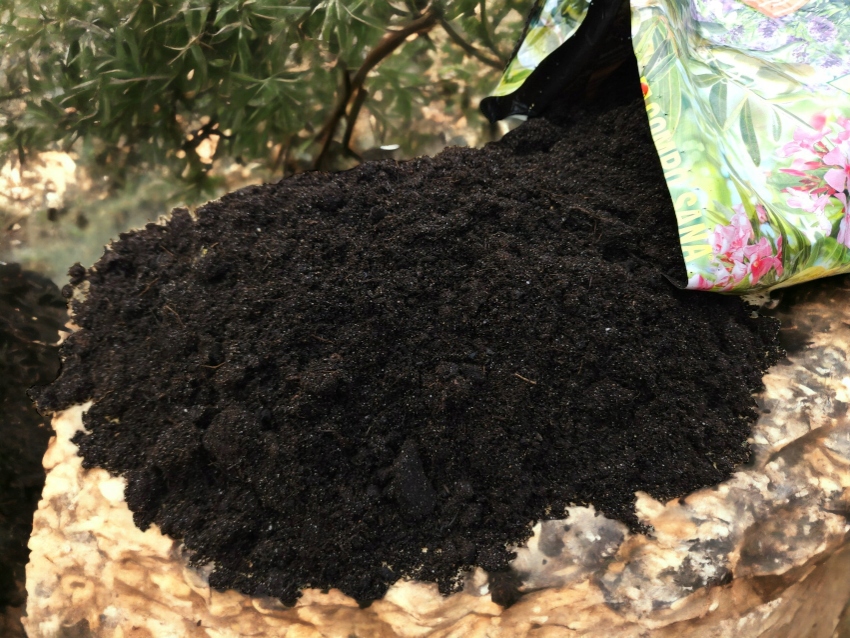 Ziemia do r. Śródziemnomorskich 20l. Compo podłoże do Oleandrów, Hibiskusa Ziemia do r. Śródziemnomorskich 20l. Compo podłoże do Oleandrów, Hibiskusa