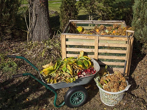 Grzybnia do rozkładu pni, ścięte drzewa, kompostowanie, naturalny 750 ml. Grzybnia do rozkładu pni, ścięte drzewa, kompostowanie, naturalny 750 ml.