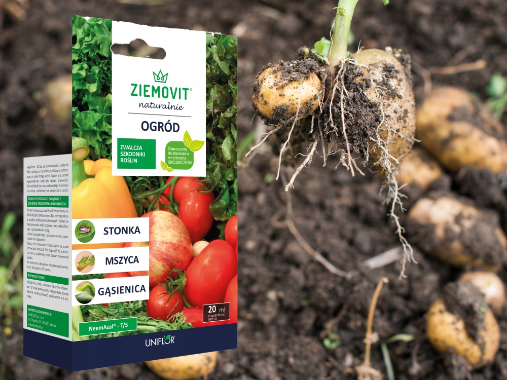 NeemAzal T/S 20 ml. na mszycę, ziemiórkę, stonkę Ziemovit ważny 01.2026r NeemAzal T/S 20 ml. na mszycę, ziemiórkę, stonkę Ziemovit ważny 01.2026r