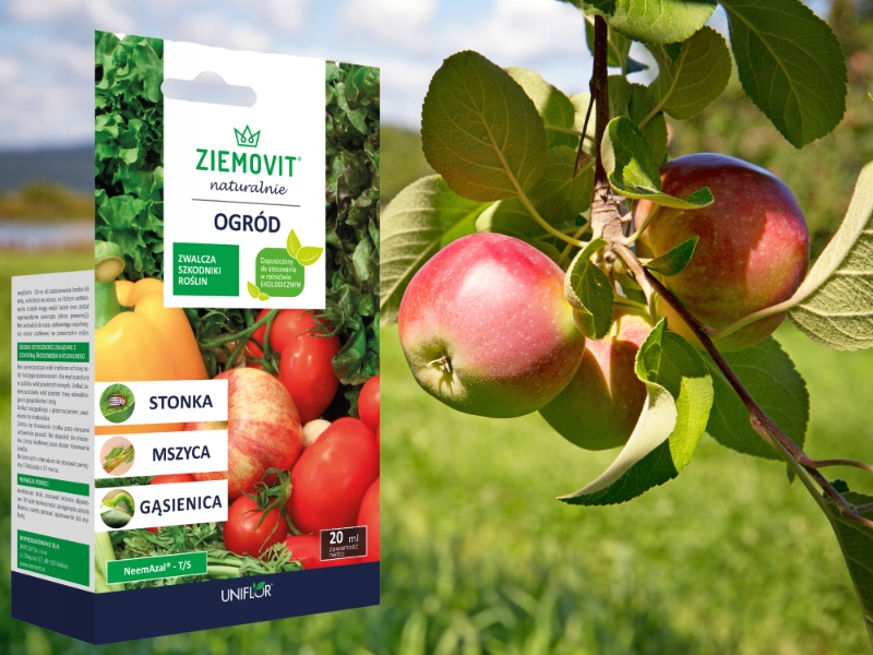 NeemAzal T/S 20 ml. na mszycę, ziemiórkę, stonkę Ziemovit ważny 01.2026r NeemAzal T/S 20 ml. na mszycę, ziemiórkę, stonkę Ziemovit ważny 01.2026r