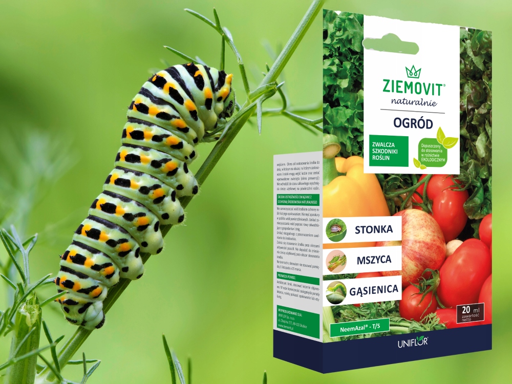 NeemAzal T/S 20 ml. na mszycę, ziemiórkę, stonkę Ziemovit ważny 01.2026r NeemAzal T/S 20 ml. na mszycę, ziemiórkę, stonkę Ziemovit ważny 01.2026r