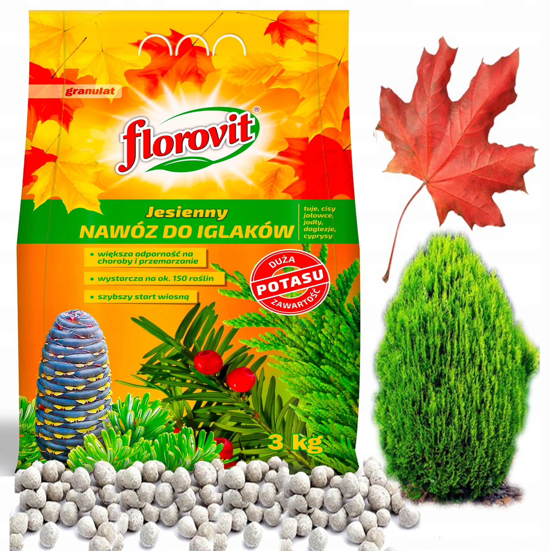 Florovit nawóz JESIENNY do iglaków tui, tuji 3 kg Florovit nawóz JESIENNY do iglaków tui, tuji 3 kg