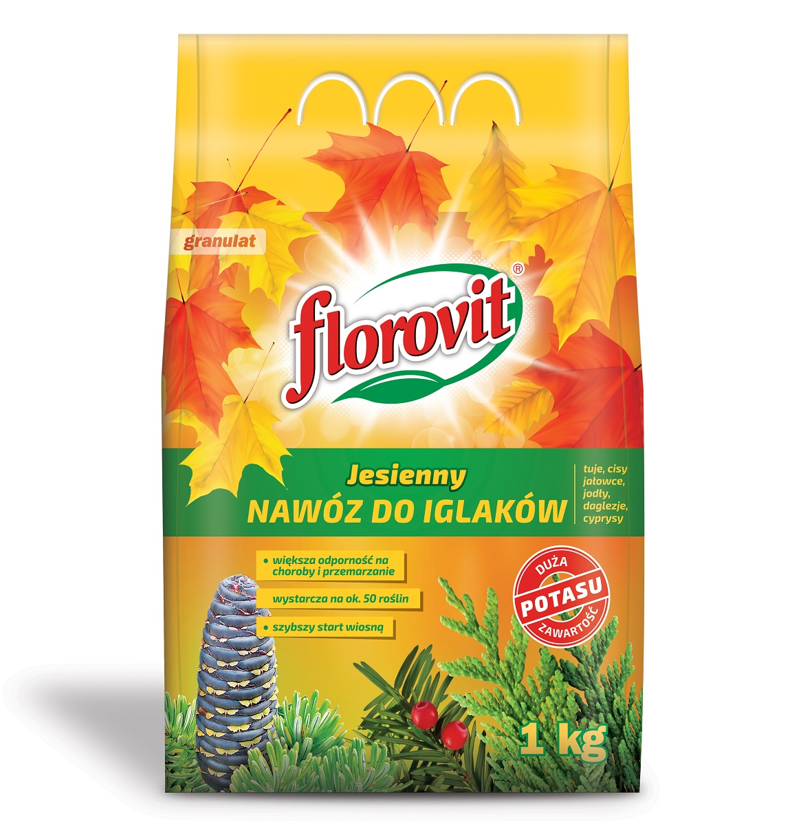 Florovit nawóz JESIENNY do iglaków tui, tuji 1 kg Florovit nawóz JESIENNY do iglaków tui, tuji 1 kg