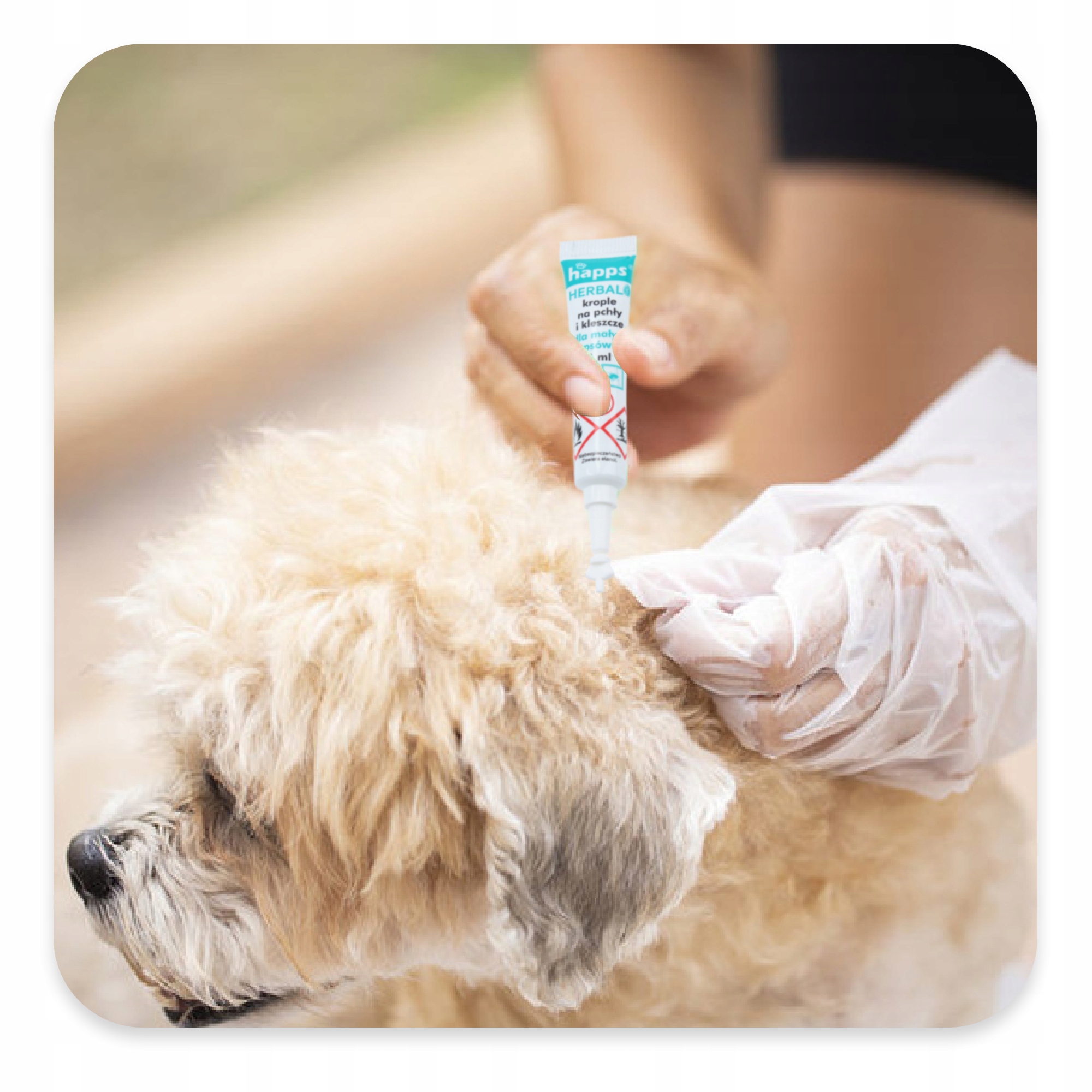 Happs krople 4 ml na pchły i kleszcze psy 5-10 kg zwalczanie pasożytów Bros Happs krople 4 ml na pchły i kleszcze psy 5-10 kg zwalczanie pasożytów Bros