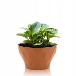 Doniczka DELTA 220 WOOD A4 Brązowa, system IPSA Doniczka DELTA 220 WOOD A4 Brązowa, system IPSA