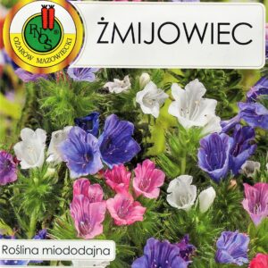 Nasiona kwiatów Żmijowiec zwyczajny 1g PNOS Nasiona kwiatów Żmijowiec zwyczajny 1g PNOS