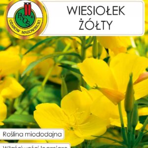 Nasiona WIESIOŁEK ŻÓŁTY, leczniczy, miododajny - 0,3g PNOS Nasiona WIESIOŁEK ŻÓŁTY, leczniczy, miododajny - 0,3g PNOS