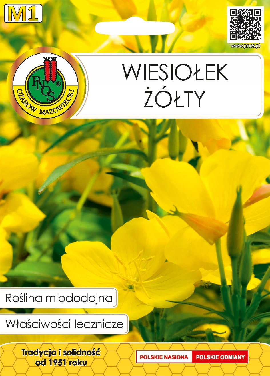 Nasiona WIESIOŁEK ŻÓŁTY, leczniczy, miododajny - 0,3g PNOS Nasiona WIESIOŁEK ŻÓŁTY, leczniczy, miododajny - 0,3g PNOS