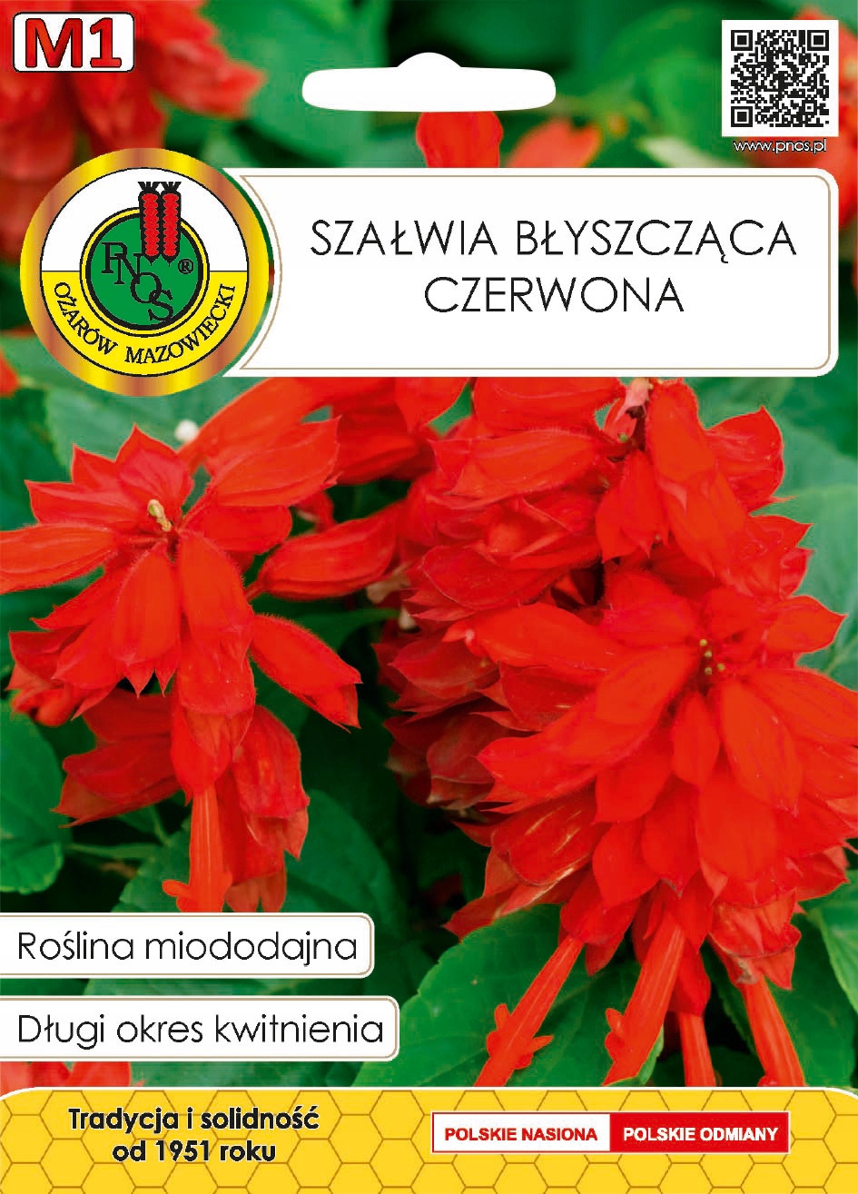 Nasiona SZAŁWIA BŁYSZCZĄCA CZERWONA miododajna - 0,5g PNOS Nasiona SZAŁWIA BŁYSZCZĄCA CZERWONA miododajna - 0,5g PNOS