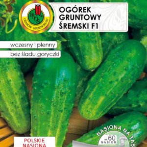 Nasiona na taśmie 6 m, Ogórek ŚREMSKI PNOS Nasiona na taśmie 6 m, Ogórek ŚREMSKI PNOS