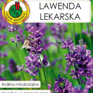 Nasiona ziół Lawenda lekarska 0,2g - PNOS Nasiona ziół Lawenda lekarska 0,2g - PNOS