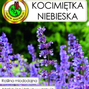 Nasiona KOCIMIĘTKA NIEBIESKA 0,5 g roślina miododajna i ozdobna PNOS Nasiona KOCIMIĘTKA NIEBIESKA 0,5 g roślina miododajna i ozdobna PNOS