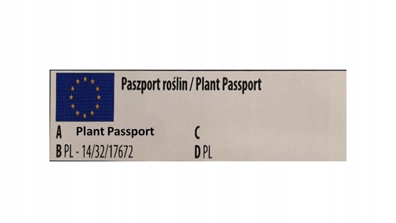 Nasiona Pomidor gruntowy czerwony Prezes 0,5 g PNOS średnio-późny Nasiona Pomidor gruntowy czerwony Prezes 0,5 g PNOS średnio-późny