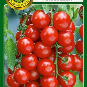 Nasiona Pomidor gruntowy Koralik 1 g pomidor koktajlowy czerwony PNOS Nasiona Pomidor gruntowy Koralik 1 g pomidor koktajlowy czerwony PNOS