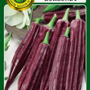 Nasiona Okra Burgundy 2 g PNOS Ketima jadalna Nasiona Okra Burgundy 2 g PNOS Ketima jadalna