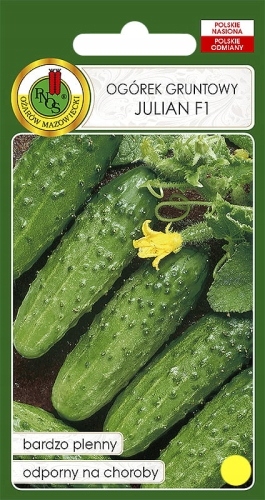 Nasiona Ogórek Julian 50g gruntowy wyjątkowo odporny i plenny PNOS Nasiona Ogórek Julian 50g gruntowy wyjątkowo odporny i plenny PNOS
